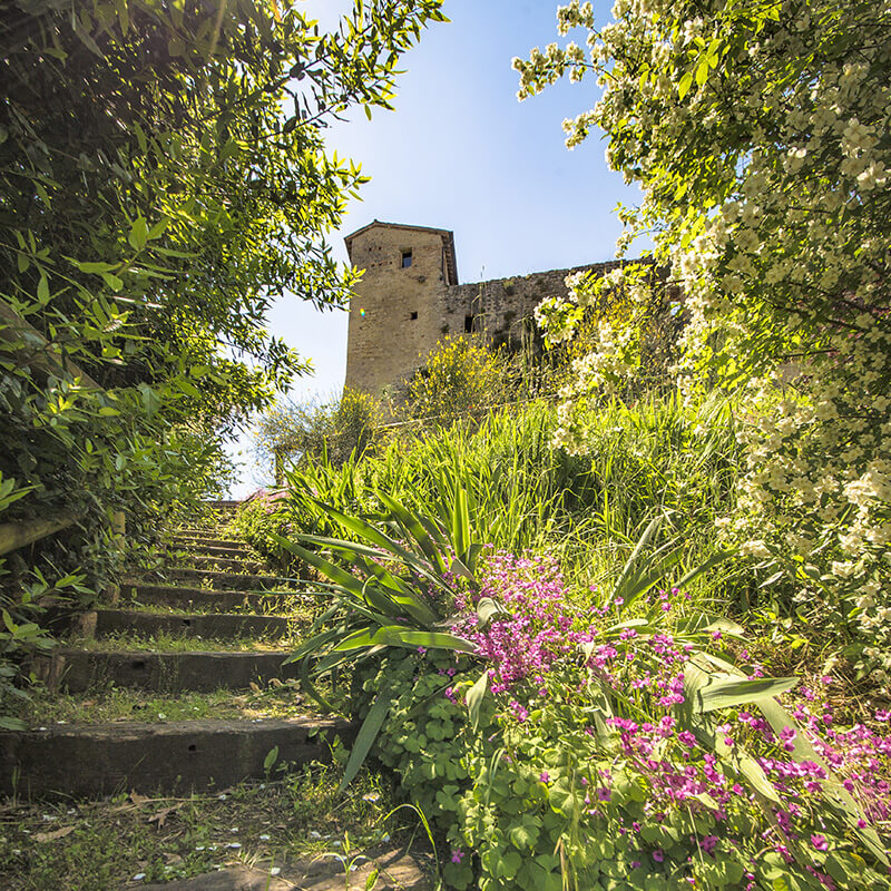 Escursioni in Romagna